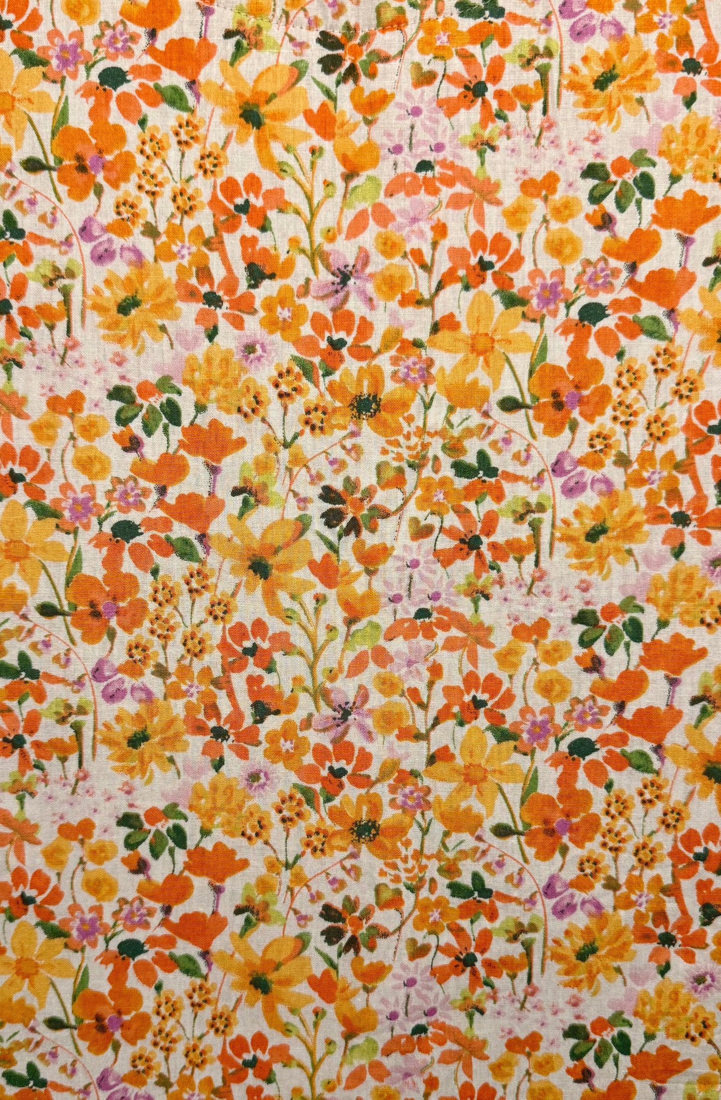 Colchiques dans les prés