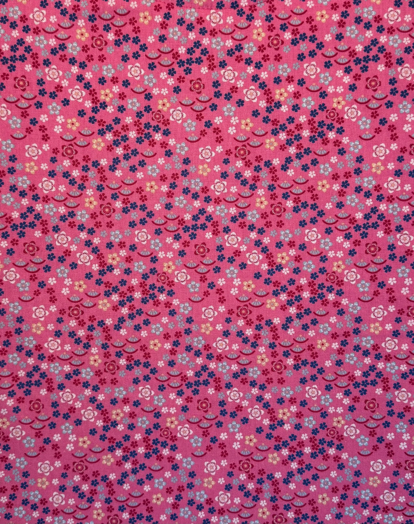 Fleurettes de toutes les couleurs