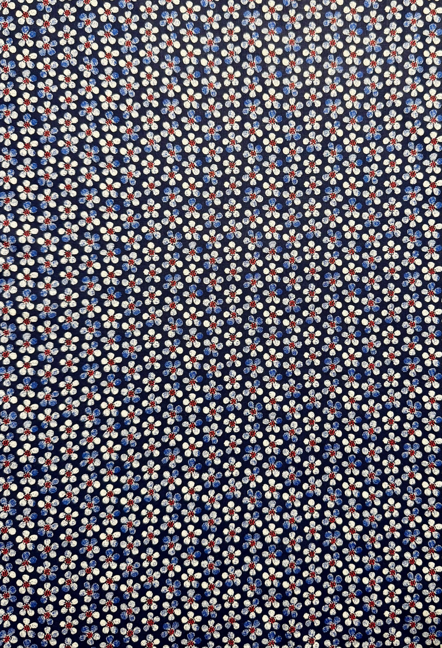 Pâquerettes au coeur rouge