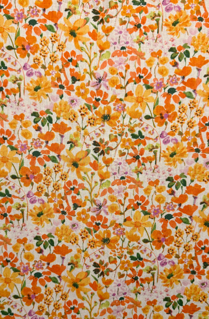 Colchiques dans les prés